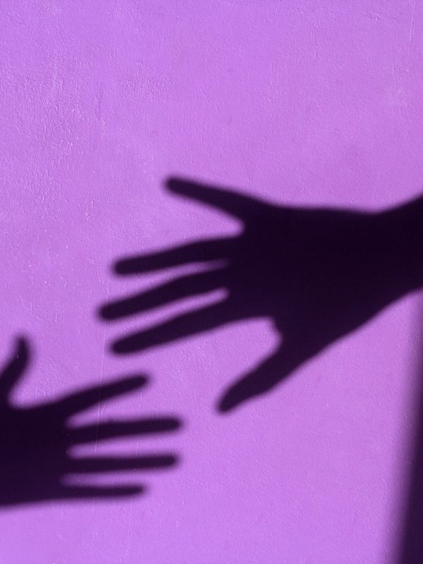 purple shabby wall with palm shadows